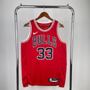 Chicago Bulls 2022/23 Red Icon Edition